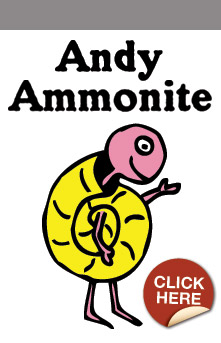 Andy Ammonite
